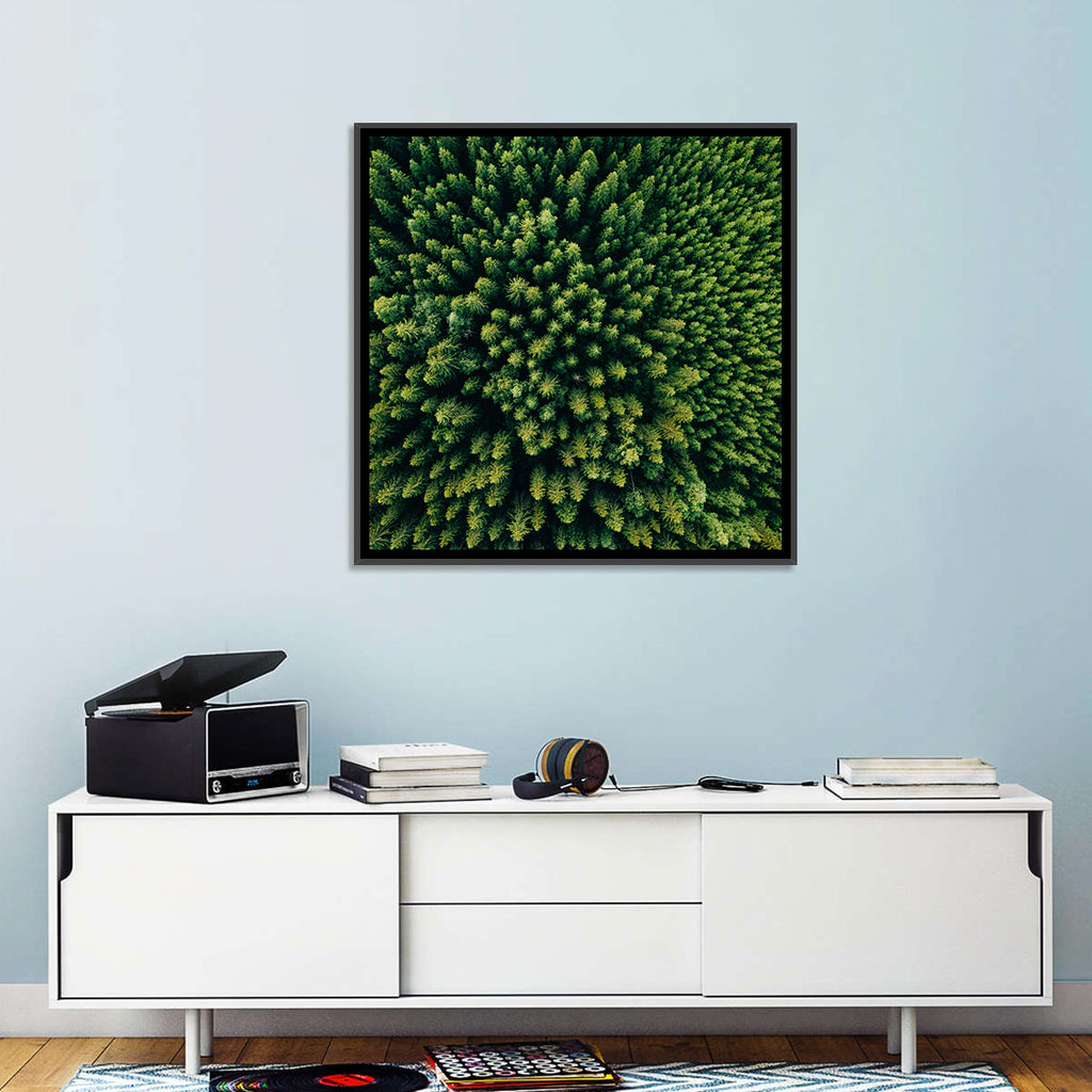 Aerial Conifer Canopy Wall Art