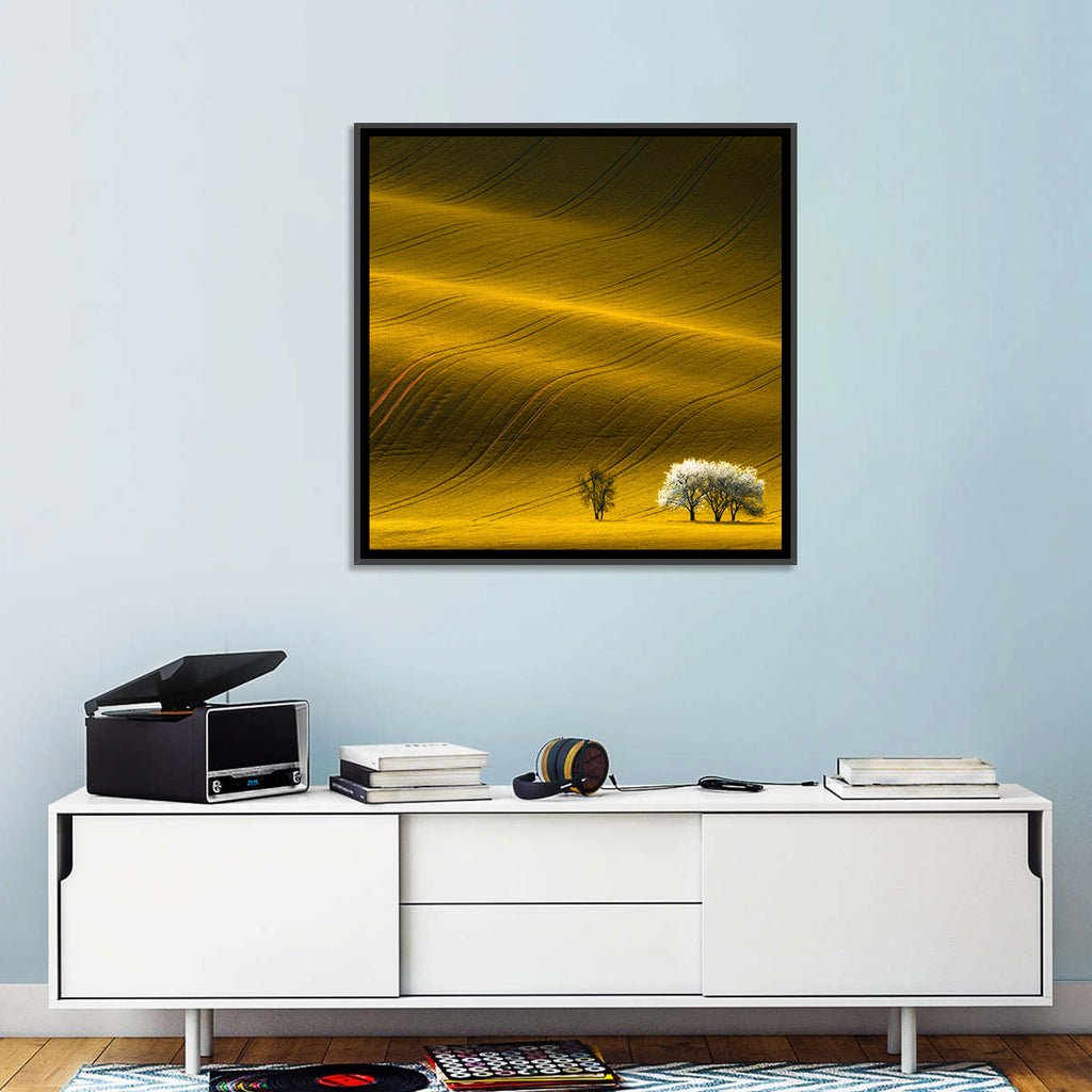 Golden Hour Rapeseed Field Wall Art