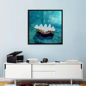 Beach Shell Wall Art