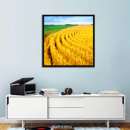 Summer Wheat Field with Curved Paths Wall Art