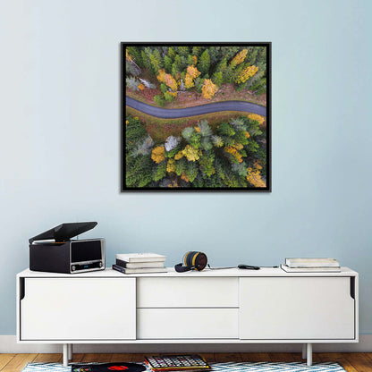 Aerial Autumn Forest Road Wall Art
