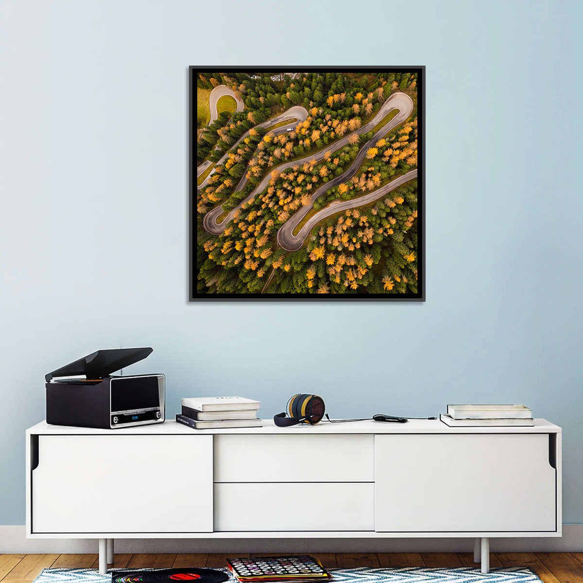 Aerial Curvy Forest Road Wall Art