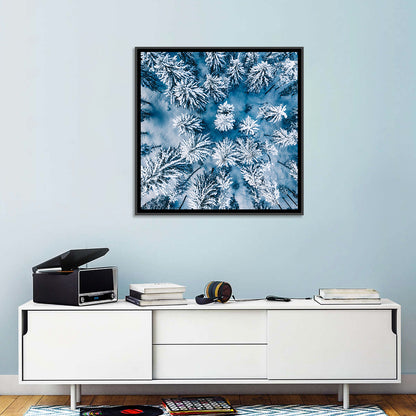 Aerial Snowy Forest Wall Art