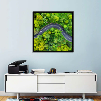 Winding Tropical Forest Road Wall Art