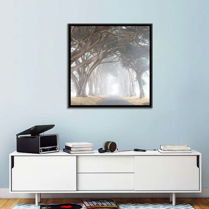 Misty Cypress Tunnel Wall Art
