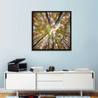 Autumn Forest Canopy Looking Up Wall Art
