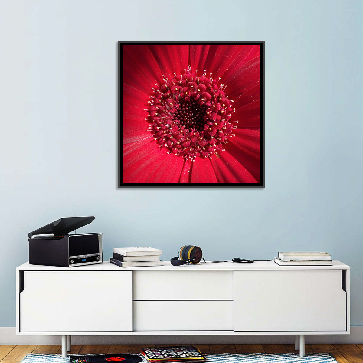 Red Gerbera Daisy Macro Close Up Wall Art