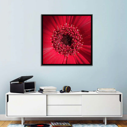 Red Gerbera Daisy Macro Close Up Wall Art
