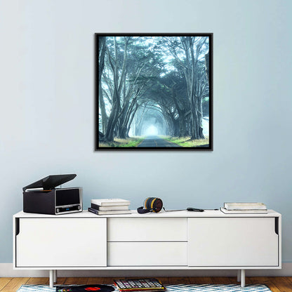 Foggy Cypress Tree Tunnel Wall Art