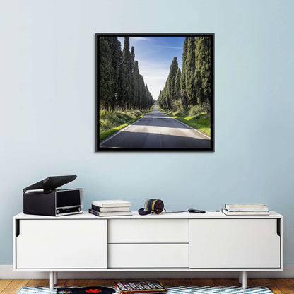 Cypress Trees Avenue Wall Art