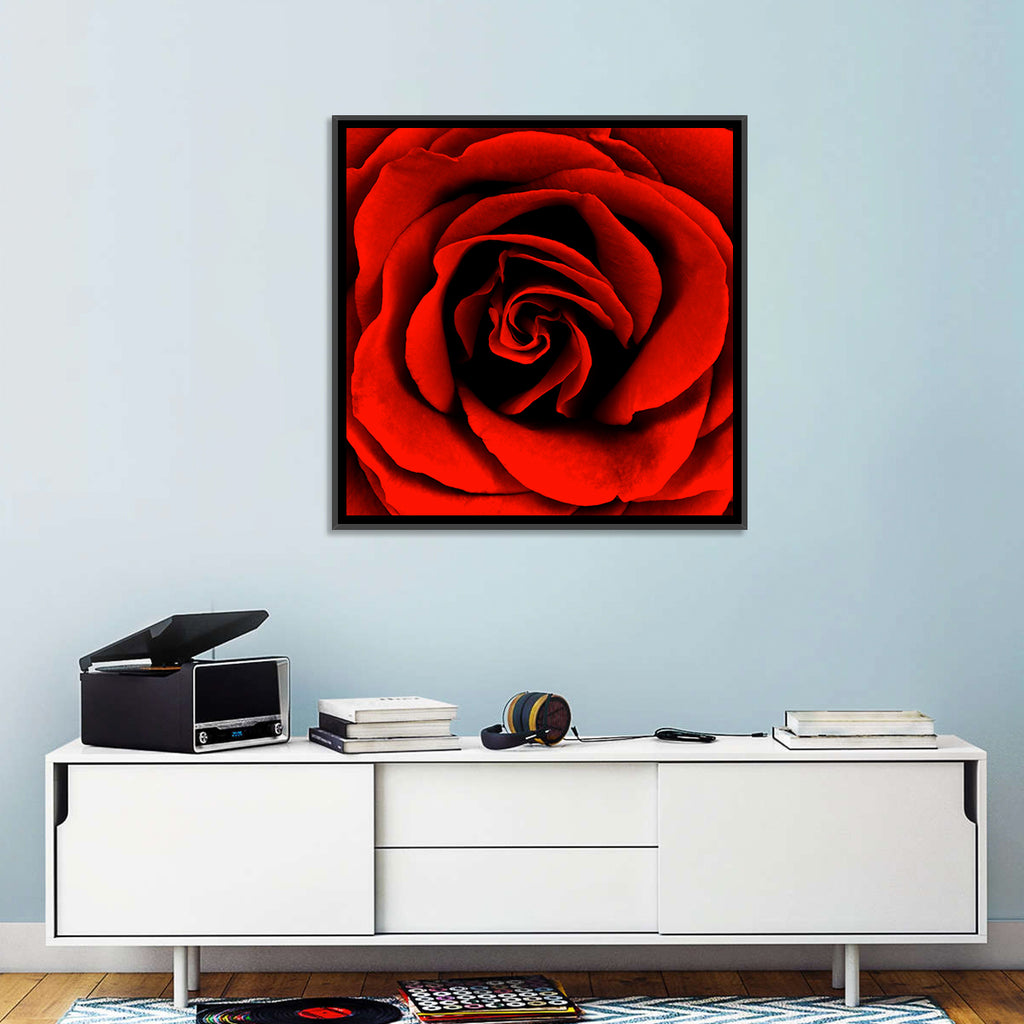 Velvety Red Rose Close-up Wall Art