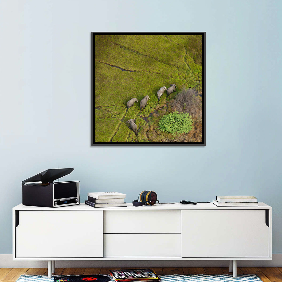 Aerial Herd of Elephants Wall Art