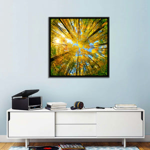 Autumn Foliage Wall Art