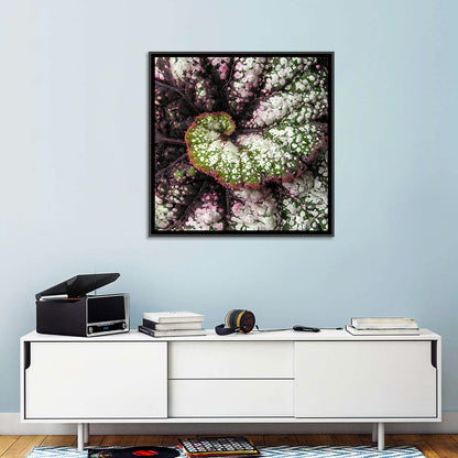 Begonia Leaf Spiral Geometry Wall Art