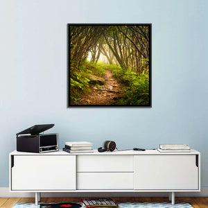 Craggy Gardens Hiking Trail Wall Art