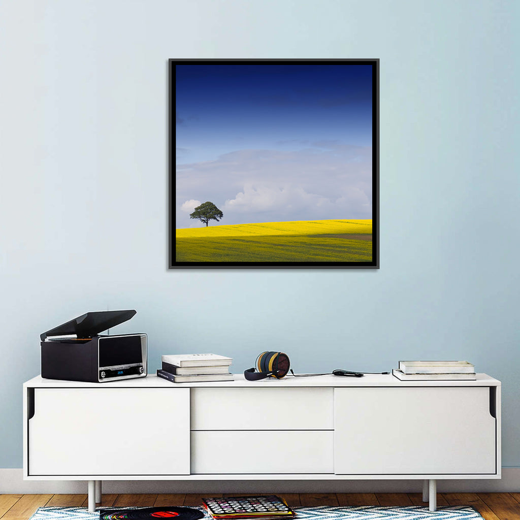 Solitary Tree Over Rapeseed Field Wall Art