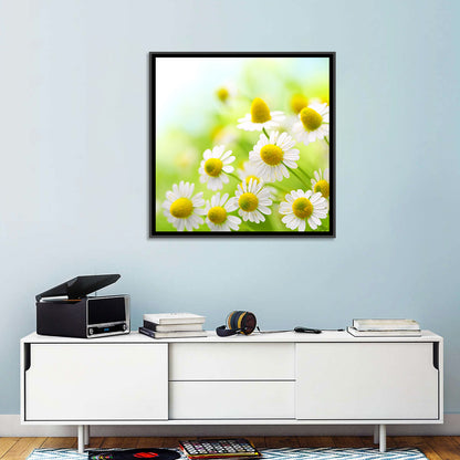 Chamomile Close-up Wall Art