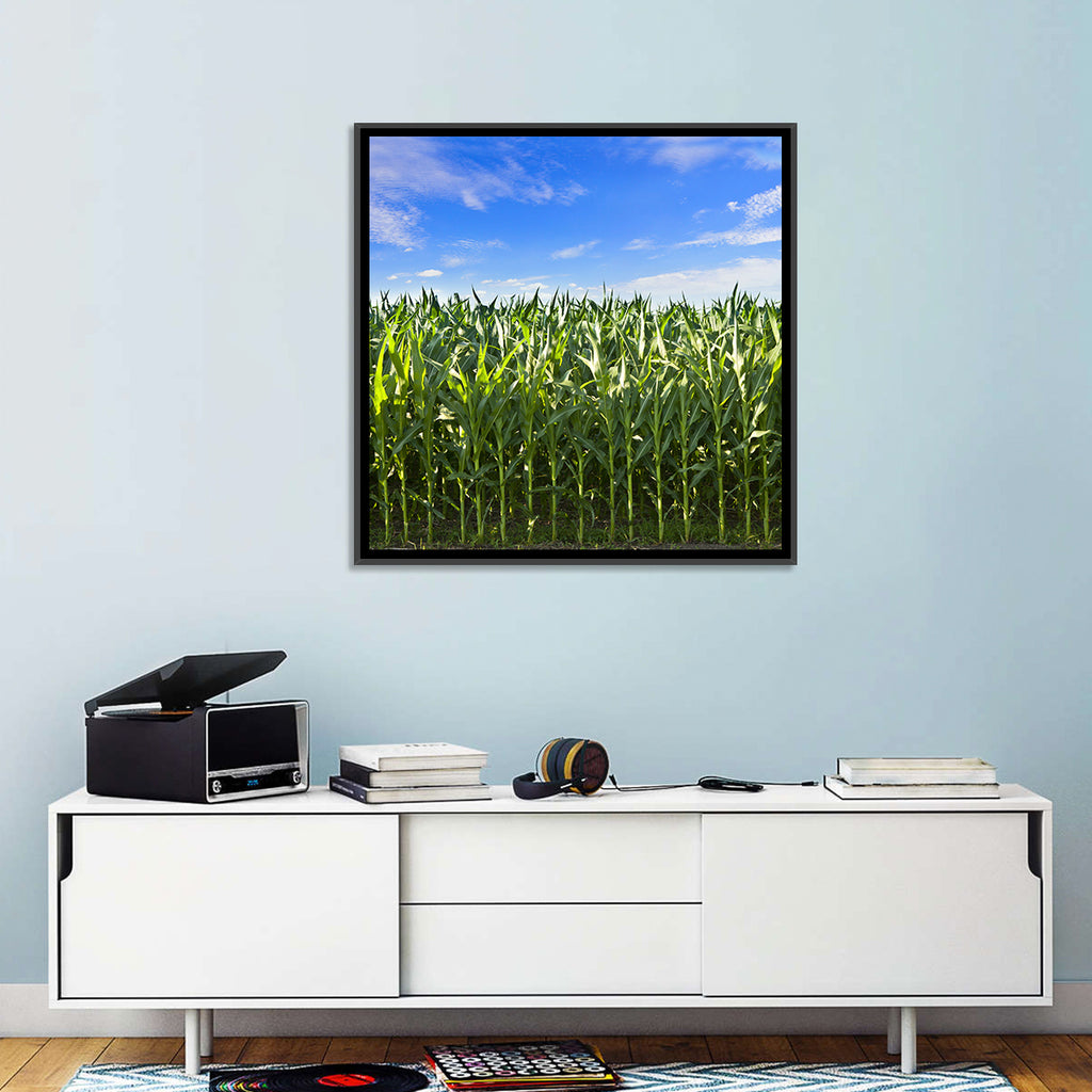 Green Corn Field Wall Art