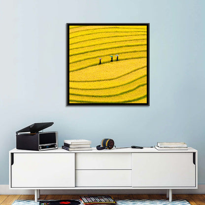 Golden Rice Terraces with Umbrellas Wall Art