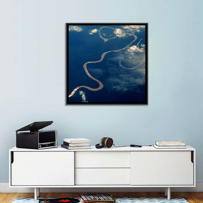 Sunlit Meander of the Amazon River Wall Art