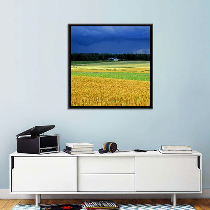 Cornfields Under Stormy Sky Wall Art