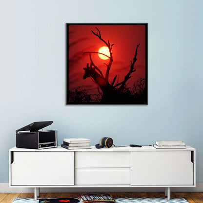 Giraffe Silhouette at Sunset Wall Art