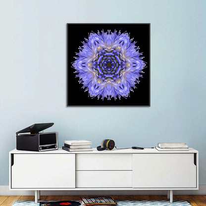 Cornflower Mandala Kaleidoscope Wall Art