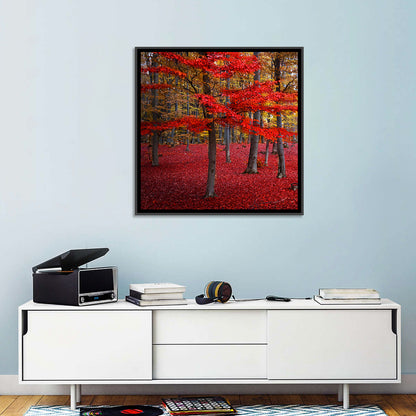 Crimson Autumn Forest Wall Art