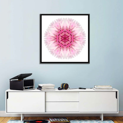 Pink Cornflower Wall Art