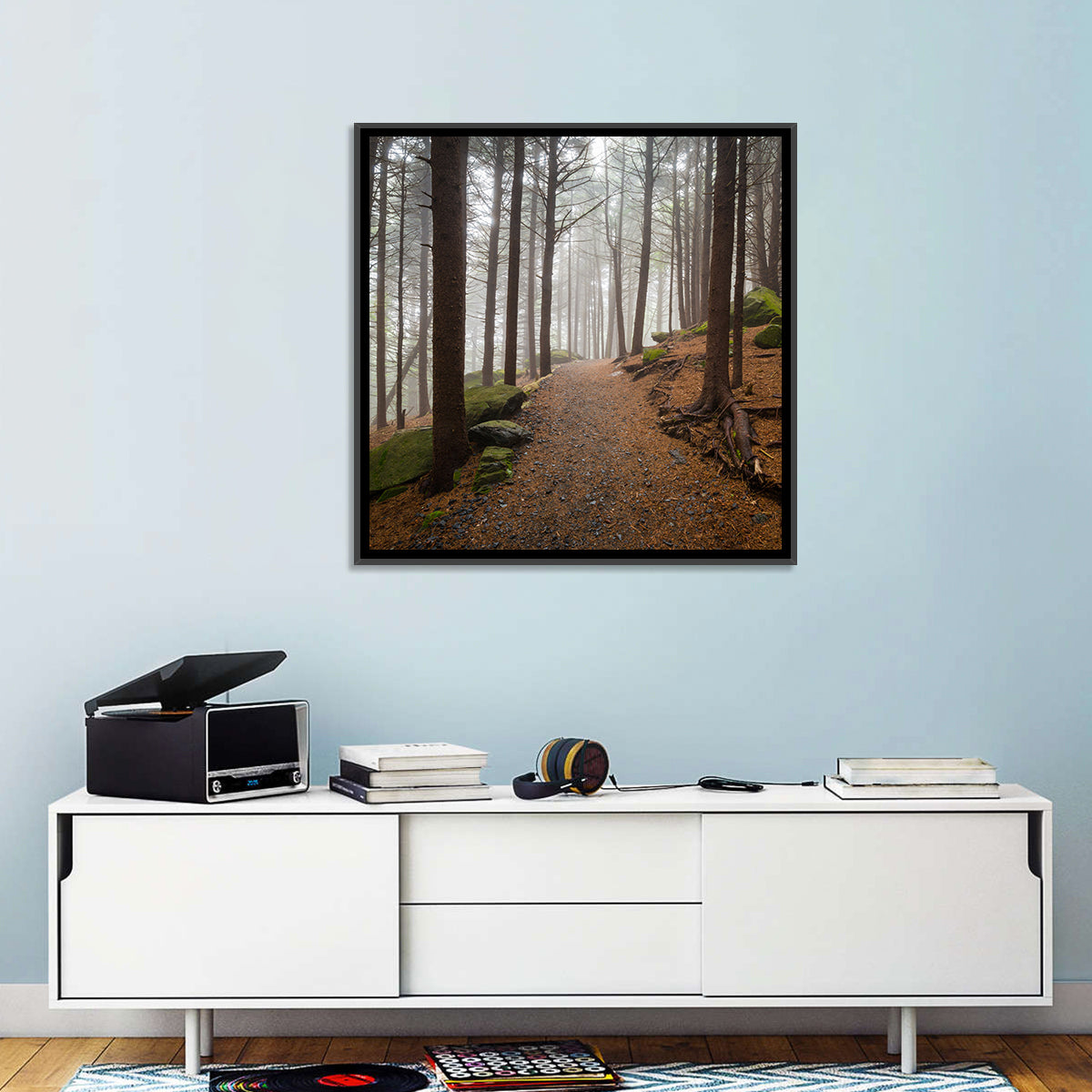 Misty Appalachian Trail Path Wall Art