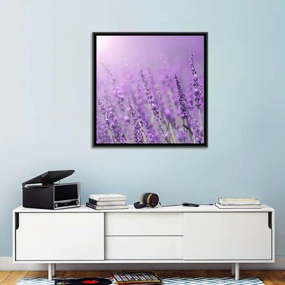 Sunlit Lavender Field Wall Art