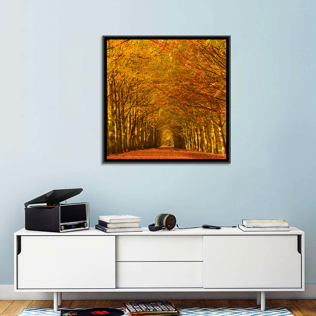Golden Beech Tree Tunnel in Autumn Wall Art