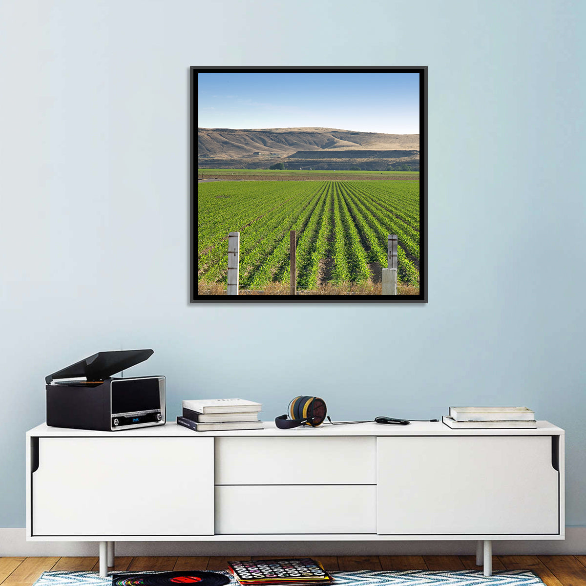 Idaho Corn Field Wall Art