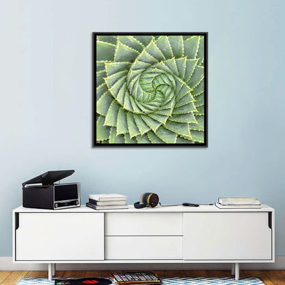 Spiral Aloe Close-up Wall Art