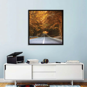 Dense Forest Road Wall Art