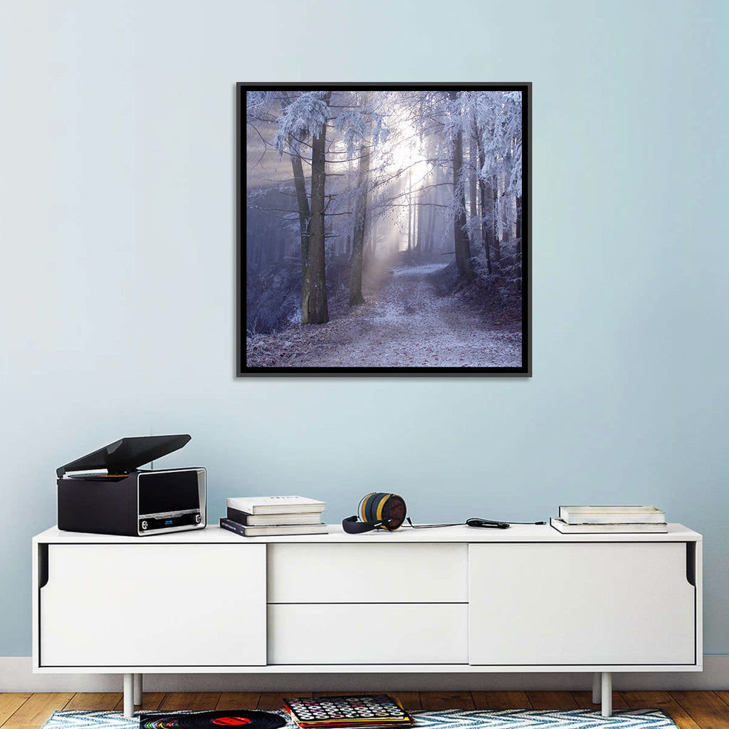 Frosted Forest Path at Dawn Wall Art