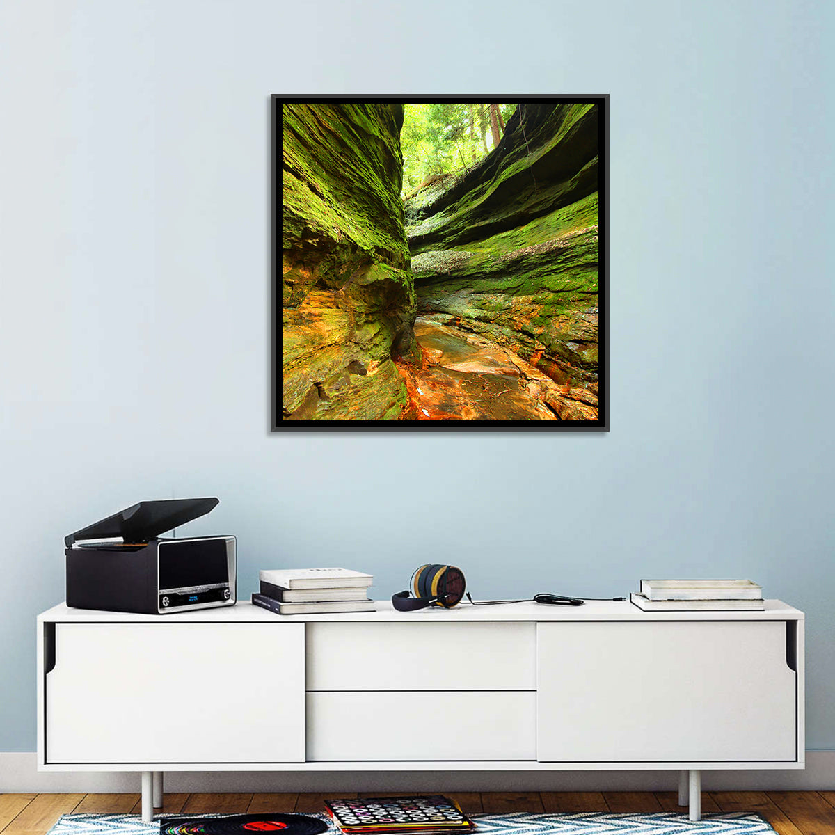 Turkey Run State Park Canyon Wall Art
