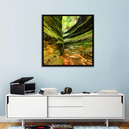 Turkey Run State Park Canyon Wall Art