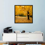 Baltimore Autumn Foliage Wall Art