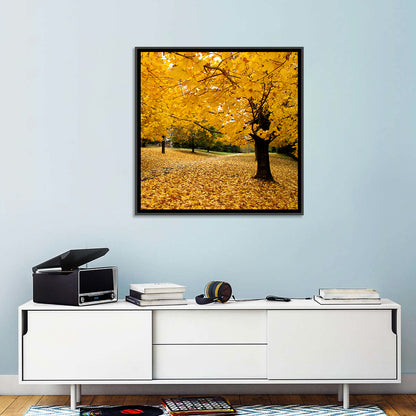 Baltimore Autumn Foliage Wall Art