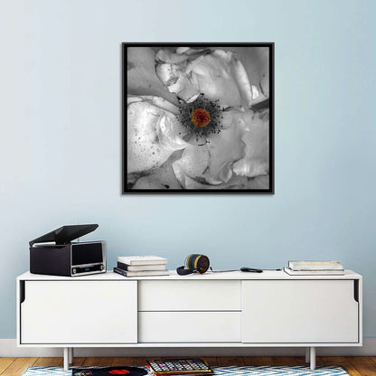 Rose Macro with Color Center Wall Art