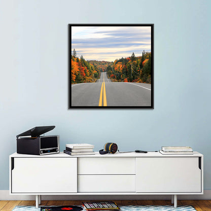 Algonquin Park Road Wall Art
