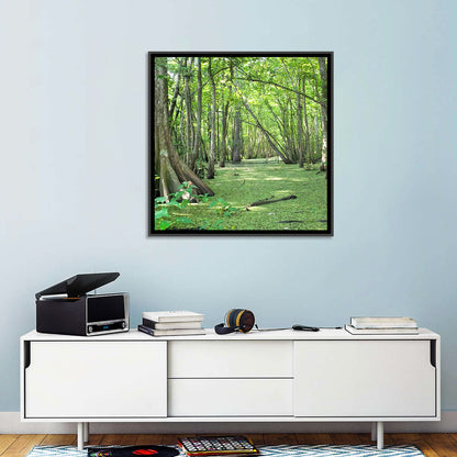 Summer Cypress Bayou, Louisiana Wall Art