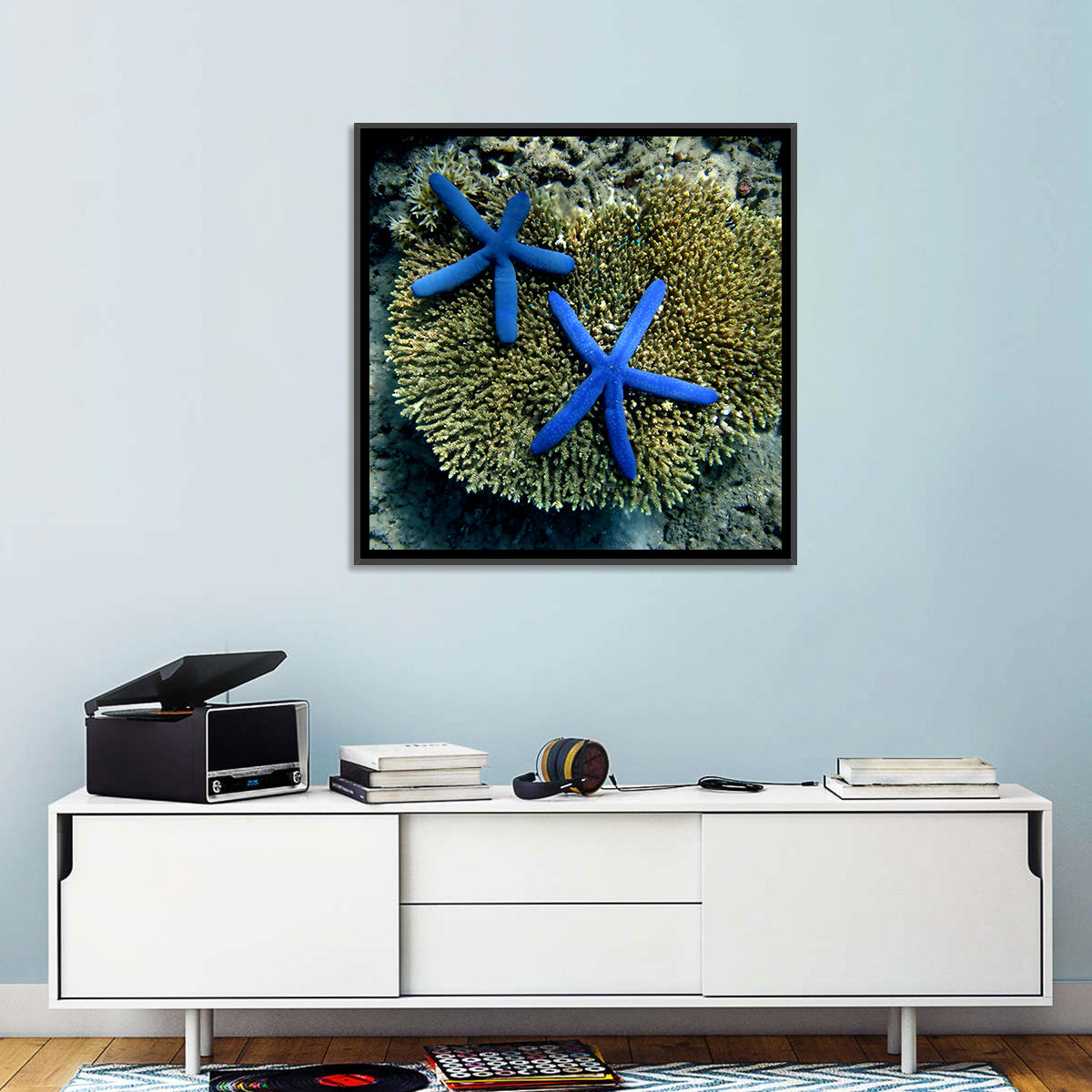Blue Starfish Wall Art in a room, square