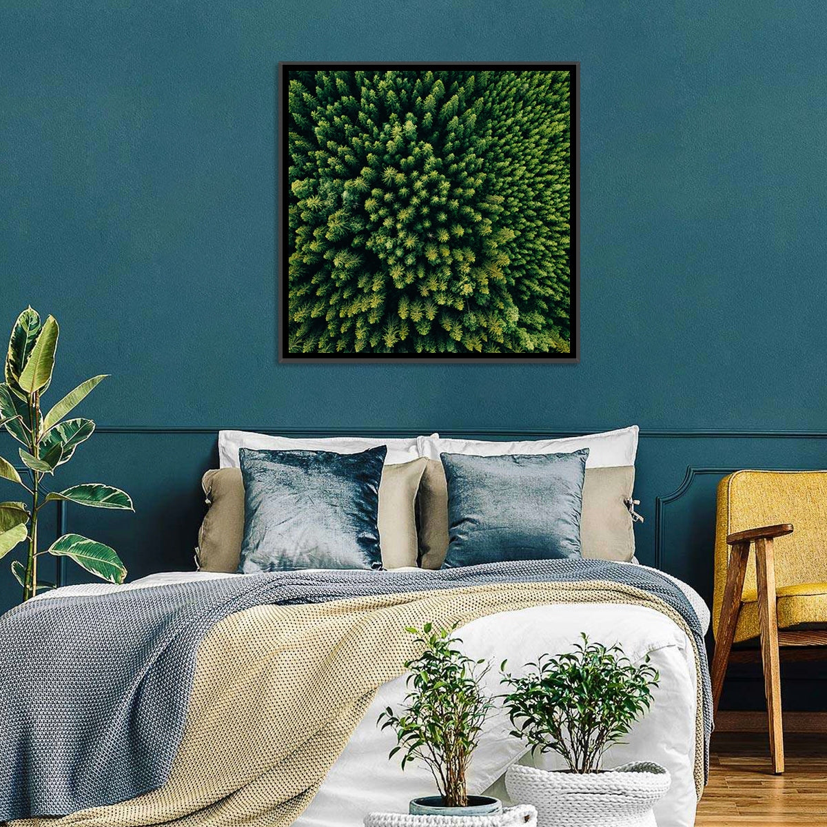Aerial Conifer Canopy Wall Art