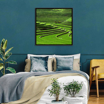 Lush Rice Terraces Wall Art