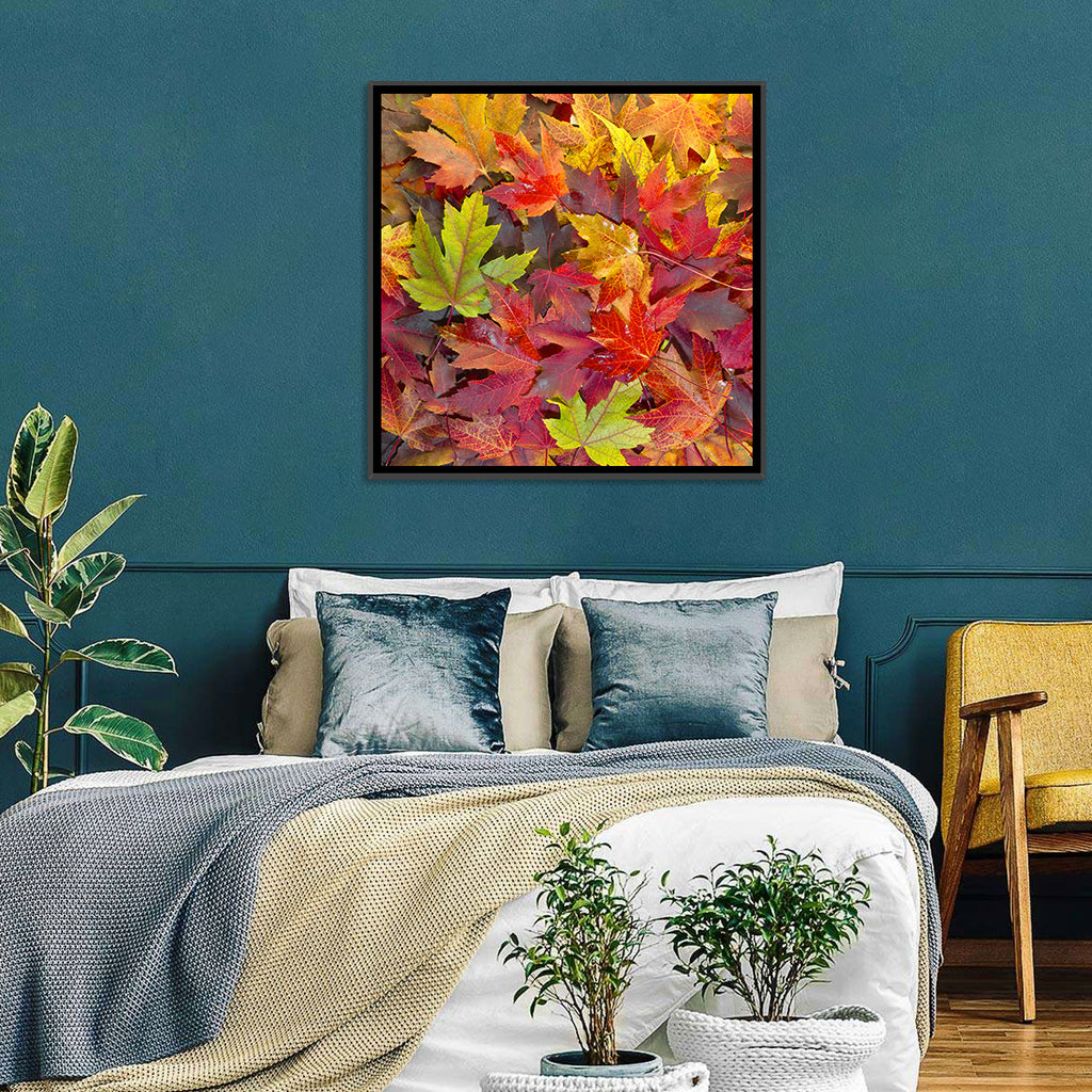 Autumn Maple Leaves Close-up Wall Art