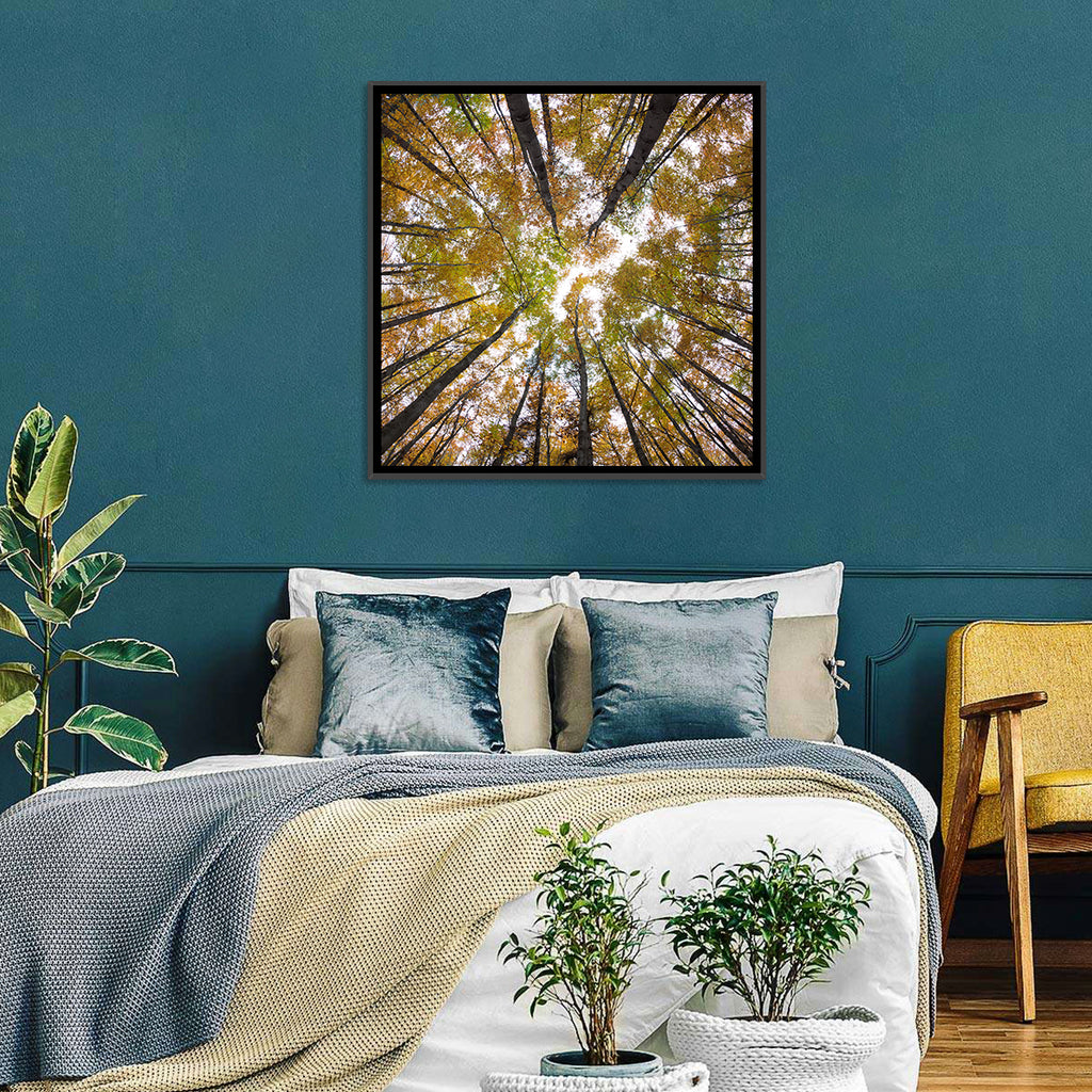 Autumn Forest Canopy Looking Up Wall Art