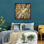 Autumn Forest Canopy Looking Up Wall Art