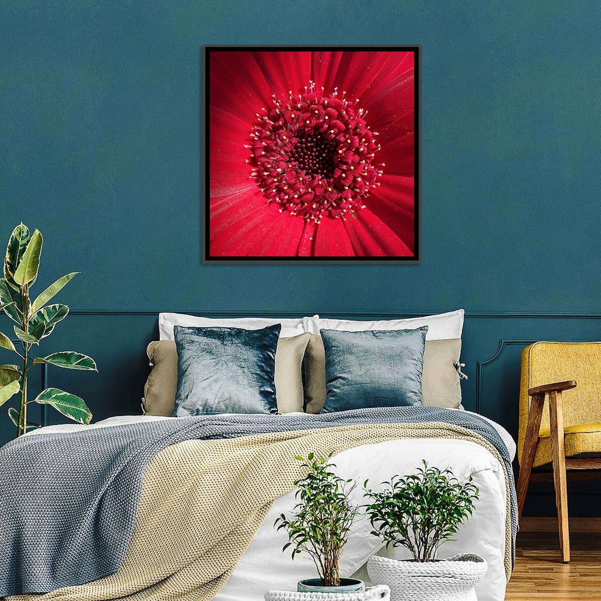Red Gerbera Daisy Macro Close Up Wall Art